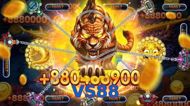VS88